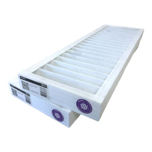 BRIZZ - VMC DANTHERM HCH8 kompatible Filter (2 Stück) - Lieferumfang:2 x G4 von BRIZZ