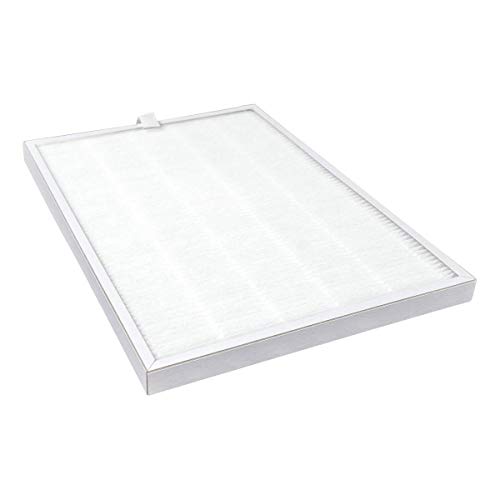 Filter G4 kompatibel mit T.FLOW Hygro+ oder Nano Aldes von BRIZZ