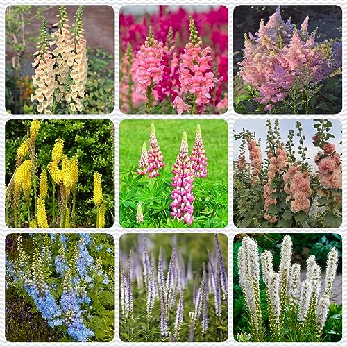 200 Pcs Blumen Samen Set Bienenwohl Blumenwiese Samen Bonsai Samen Set Wildblumensamen Mehrjährig Winterhart Zimmerpflanzen Samen Blumensamen Gastgeschenk Winterharte Kübelpflanzen Topfpflanzen von BRKENT