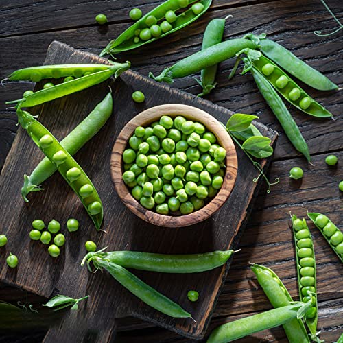 Erbsen Samen Wintererbsen Saatgut GemüSe WintergemüSe Samen Kletterpflanzen Winterhart Pea Wintererbse Sima GemüSesamen Hochbeete FüR Garten GemüSe Pflanzensamen Garten Erbsenpflanze 20 StüCk von BRKENT