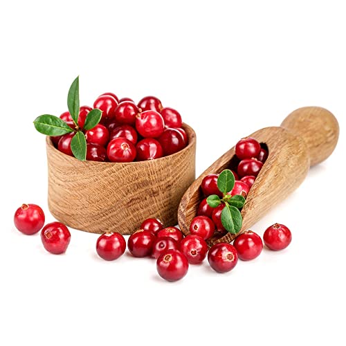 Preiselbeeren Pflanzen Samen,Cranberry,Baumsamen,Preiselbeere,Obst Samen,Bonsai Baum,Obst Frisch Baum Geschenke FüR Gartenfreunde,Blumen Balkonpflanzen Winterhart 30 Saatgut(Rot) von BRKENT