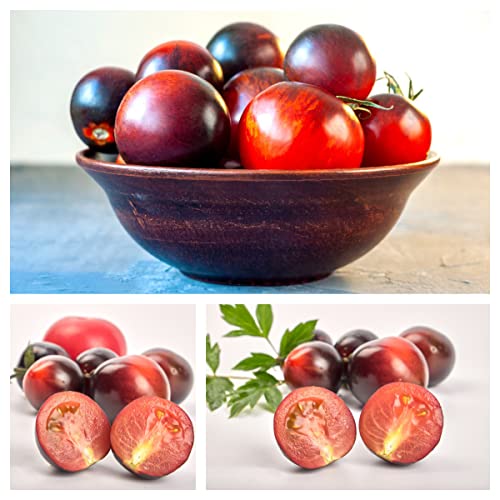 Tomatensamen Wintergemüse Samen Tomaten Frisch Winterharte Pflanzen Für Garten Gemüsesamen Gemüsepflanzen Balkonpflanzen Winterhart Kletterpflanzen Gärtner Geschenke 200 Tomaten Saatgut von BRKENT