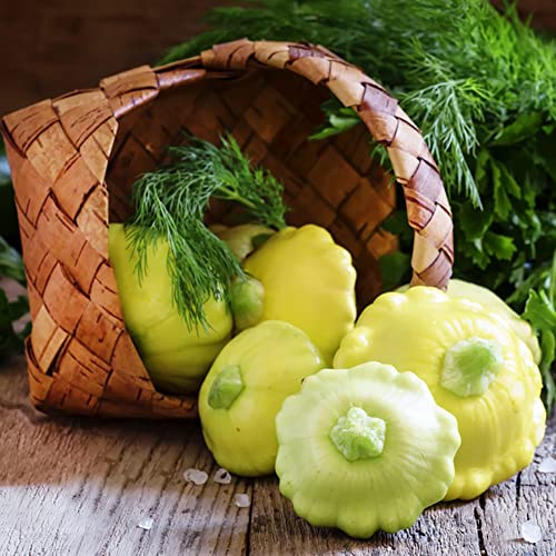 Zucchini Samen Alte Sorten GemüSesamen Zuchini Saat Alte GemüSesorten Samen Zucchini GemüSesamen Bodendecker Winterhart MehrjäHrig Kletterpflanzen Exotische Pflanzen Hochbeet Samen 30 Zucchinisamen von BRKENT