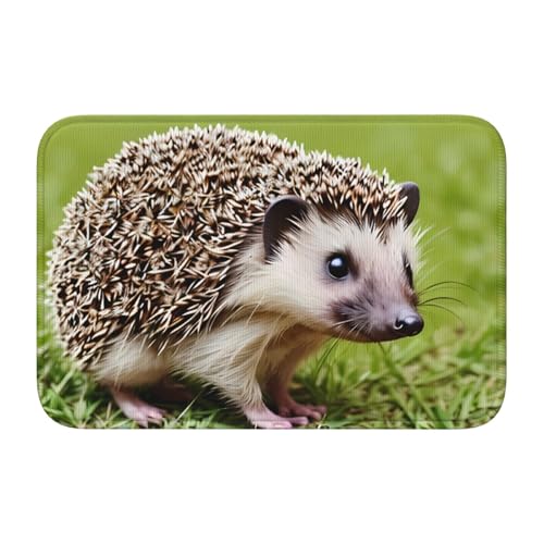 BROLEO Rutschfeste, verdickte Bodenmatte, Igel, Punktemuster, rutschfest, leicht zu reinigen, langlebig, perfekt für WC, Badezimmer, 60 x 40 cm BROLEO Rutschfeste, verdickte Bodenmatte, Igel, Punktemuster, rutschfest, leicht zu reinigen, langlebig, perfekt für WC, Badezimmer, 60 x 40 cm von BROLEO