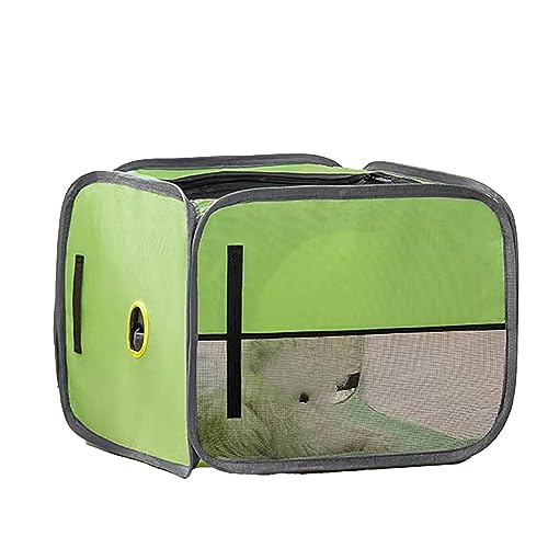 BROLEO Trocknungsbox für Haustiere, Zubehör für Haustiere, atmungsaktives Oxford-Gewebe, Sicherheit, schnell trocknend für zu Hause BROLEO Trocknungsbox für Haustiere, Zubehör für Haustiere, atmungsaktives Oxford-Gewebe, Sicherheit, schnell trocknend für zu Hause von BROLEO