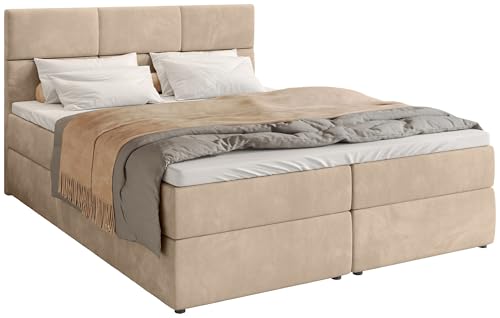 BROMARKT Boxspringbett mit Bettkasten Polsterbett mit Bonell-Matratze und Topper Doppelbett mit Stauraum Bett für Schlafzimmer gepolstertes Kopfteil Boston 180x200 Härtegrad H3 Samtstoff Beige BROMARKT Boxspringbett mit Bettkasten Polsterbett mit Bonell-Matratze und Topper Doppelbett mit Stauraum Bett für Schlafzimmer gepolstertes Kopfteil Boston 180x200 Härtegrad H3 Samtstoff Beige von BROMARKT