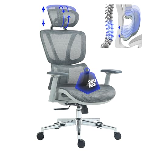 BRTHORY Ergonomischer Bürostuhl, atmungsaktiver Netzbezug, verstellbare Lendenwirbelstütze/3D-Armlehnen/Kopfstütz/Wippfunktion, höhenverstellbarer Schreibtischstuhl, 200kg belastbar, grau von BRTHORY