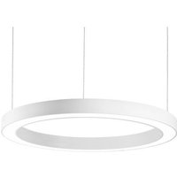 Brumberg - gebraucht] Biro Circle direkt dali LED-Pendel Hängeleuchte Hängelampe Licht Lampe von BRUMBERG