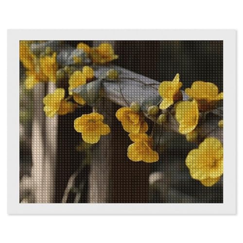 BSCKKDMN Blumen auf Zaun Diamant-Malerei-Kits für Erwachsene, Diamant-Kunst-Set für Anfänger, 5D-DIY-Vollquadrat-Diamant-Kunst-Bastelsets für Erwachsene für Wanddekoration von BSCKKDMN