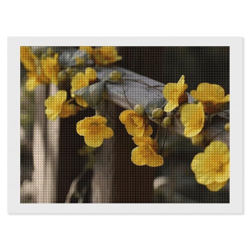 BSCKKDMN Blumen auf Zaun Diamant-Malerei-Kits für Erwachsene, Diamant-Kunst-Set für Anfänger, 5D-DIY-Vollquadrat-Diamant-Kunst-Bastelsets für Erwachsene für Wanddekoration BSCKKDMN Blumen auf Zaun Diamant-Malerei-Kits für Erwachsene, Diamant-Kunst-Set für Anfänger, 5D-DIY-Vollquadrat-Diamant-Kunst-Bastelsets für Erwachsene für Wanddekoration von BSCKKDMN