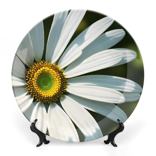 BSCKKDMN Dekorativer Keramikteller mit Gänseblümchen, aus Knochenporzellan, mit Präsentationsständer, handgefertigte Keramik-Ornamente, Wandkunst, Dekoration für Zuhause, Küche, Schlafzimmer, 20,3 cm BSCKKDMN Dekorativer Keramikteller mit Gänseblümchen, aus Knochenporzellan, mit Präsentationsständer, handgefertigte Keramik-Ornamente, Wandkunst, Dekoration für Zuhause, Küche, Schlafzimmer, 20,3 cm von BSCKKDMN