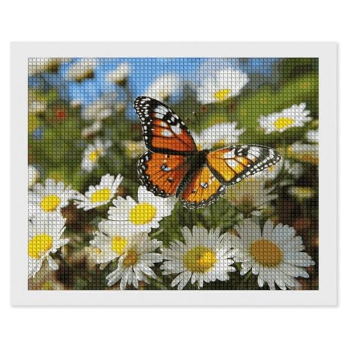 BSCKKDMN Diamant Malerei Kits Schmetterling auf Gänseblümchen Blume für Erwachsene Diamant Kunst Kit für Anfänger 5D DIY Full Square Diamond Art Craft Kits für Erwachsene für Home Wall Decor BSCKKDMN Diamant Malerei Kits Schmetterling auf Gänseblümchen Blume für Erwachsene Diamant Kunst Kit für Anfänger 5D DIY Full Square Diamond Art Craft Kits für Erwachsene für Home Wall Decor von BSCKKDMN