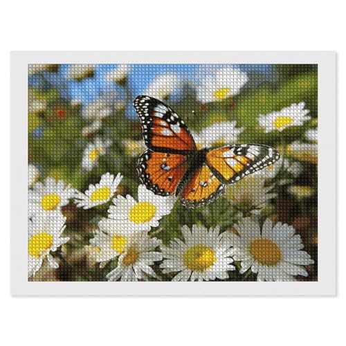 BSCKKDMN Diamant Malerei Kits Schmetterling auf Gänseblümchen Blume für Erwachsene Diamant Kunst Kit für Anfänger 5D DIY Full Square Diamond Art Craft Kits für Erwachsene für Home Wall Decor BSCKKDMN Diamant Malerei Kits Schmetterling auf Gänseblümchen Blume für Erwachsene Diamant Kunst Kit für Anfänger 5D DIY Full Square Diamond Art Craft Kits für Erwachsene für Home Wall Decor von BSCKKDMN