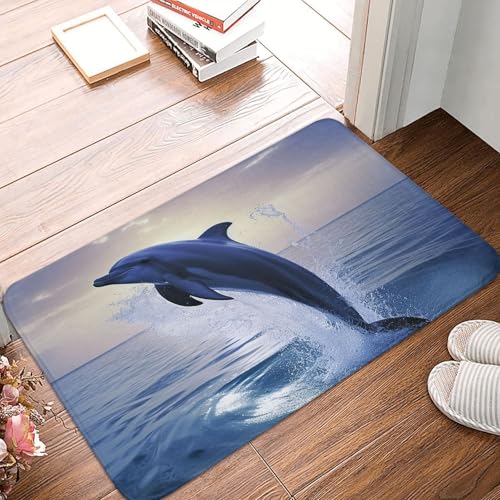 BSCKKDMN Elegante Delfin-Haustürmatte, für drinnen und draußen, rutschfest, saugfähig, waschbar, Flanell-Badematte, rutschfeste Fußmatten für Küche, Schlafzimmer, Badezimmer, Veranda, Büro, 40,6 x 61 von BSCKKDMN