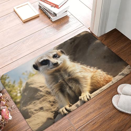 BSCKKDMN Fußmatte mit Erdmännchen-Motiv, für drinnen und draußen, rutschfest, saugfähig, waschbar, Flanell-Badematte, rutschfeste Fußmatten für Küche, Schlafzimmer, Badezimmer, Veranda, Büro, 40,6 x BSCKKDMN Fußmatte mit Erdmännchen-Motiv, für drinnen und draußen, rutschfest, saugfähig, waschbar, Flanell-Badematte, rutschfeste Fußmatten für Küche, Schlafzimmer, Badezimmer, Veranda, Büro, 40,6 x von BSCKKDMN
