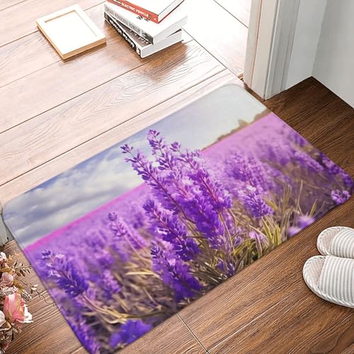 BSCKKDMN Fußmatte mit Lavendelblüte, für drinnen und draußen, rutschfest, saugfähig, waschbar, Flanell-Badematte, rutschfeste Fußmatten für Küche, Schlafzimmer, Badezimmer, Veranda, Büro, 40,6 x 61 cm BSCKKDMN Fußmatte mit Lavendelblüte, für drinnen und draußen, rutschfest, saugfähig, waschbar, Flanell-Badematte, rutschfeste Fußmatten für Küche, Schlafzimmer, Badezimmer, Veranda, Büro, 40,6 x 61 cm von BSCKKDMN