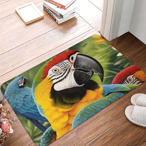 BSCKKDMN Fußmatte mit tropischem Papageien-Motiv, für drinnen und draußen, rutschfest, saugfähig, waschbar, Flanell-Badematte, rutschfeste Fußmatten für Küche, Veranda, Büro, 40,6 x 61 cm BSCKKDMN Fußmatte mit tropischem Papageien-Motiv, für drinnen und draußen, rutschfest, saugfähig, waschbar, Flanell-Badematte, rutschfeste Fußmatten für Küche, Veranda, Büro, 40,6 x 61 cm von BSCKKDMN