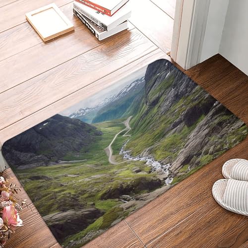 BSCKKDMN Norway Terrain Fußmatte für drinnen und draußen, rutschfest, saugfähig, waschbar, Flanell-Badematte, rutschfeste Fußmatten für Küche, Schlafzimmer, Badezimmer, Veranda, Büro, 40,6 x 61 cm BSCKKDMN Norway Terrain Fußmatte für drinnen und draußen, rutschfest, saugfähig, waschbar, Flanell-Badematte, rutschfeste Fußmatten für Küche, Schlafzimmer, Badezimmer, Veranda, Büro, 40,6 x 61 cm von BSCKKDMN