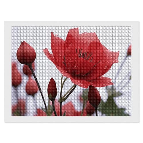 BSCKKDMN Rote Blütenknospen-Diamant-Malerei-Kits für Erwachsene, Diamant-Kunst-Set für Anfänger, 5D-DIY-Vollquadrat-Diamant-Kunst-Bastelsets für Erwachsene für Heimdekoration von BSCKKDMN
