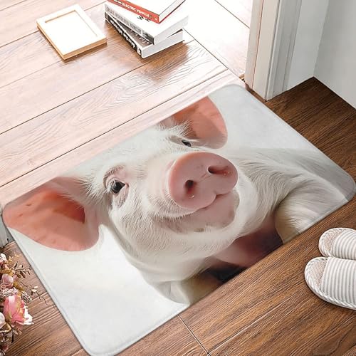 BSCKKDMN Smiling Fußmatte für drinnen und draußen, rutschfest, saugfähig, waschbar, Flanell-Badematte, rutschfeste Fußmatten für Küche, Schlafzimmer, Badezimmer, Veranda, Büro, 40,6 x 61 cm BSCKKDMN Smiling Fußmatte für drinnen und draußen, rutschfest, saugfähig, waschbar, Flanell-Badematte, rutschfeste Fußmatten für Küche, Schlafzimmer, Badezimmer, Veranda, Büro, 40,6 x 61 cm von BSCKKDMN