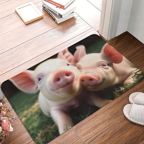 BSCKKDMN Smiling Fußmatte für drinnen und draußen, rutschfest, saugfähig, waschbar, Flanell-Badematte, rutschfeste Fußmatten für Küche, Veranda, Büro, 40,6 x 61 cm BSCKKDMN Smiling Fußmatte für drinnen und draußen, rutschfest, saugfähig, waschbar, Flanell-Badematte, rutschfeste Fußmatten für Küche, Veranda, Büro, 40,6 x 61 cm von BSCKKDMN