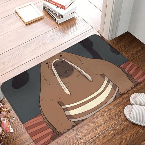 BSCKKDMN Walrus Fußmatte für drinnen und draußen, rutschfest, saugfähig, waschbar, Flanell-Badematte, rutschfeste Fußmatten für Küche, Veranda, Büro, 40,6 x 61 cm BSCKKDMN Walrus Fußmatte für drinnen und draußen, rutschfest, saugfähig, waschbar, Flanell-Badematte, rutschfeste Fußmatten für Küche, Veranda, Büro, 40,6 x 61 cm von BSCKKDMN