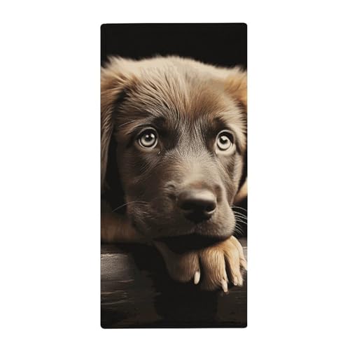 BSCKKDMN Welpen-Hundehandtuch, weich, saugfähig, Badetuch, Geschirrtücher für Küche, Badezimmer, Fitnessstudio, Spa, Zuhause, 72,9 x 35,1 cm BSCKKDMN Welpen-Hundehandtuch, weich, saugfähig, Badetuch, Geschirrtücher für Küche, Badezimmer, Fitnessstudio, Spa, Zuhause, 72,9 x 35,1 cm von BSCKKDMN