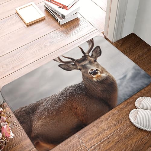 BSCKKDMN Wilde Tiere, Hirsch, Haustürmatte, für drinnen und draußen, rutschfest, saugfähig, waschbar, Flanell-Badematte, rutschfeste Bodenmatten für Küche, Veranda, Büro, 40,6 x 61 cm BSCKKDMN Wilde Tiere, Hirsch, Haustürmatte, für drinnen und draußen, rutschfest, saugfähig, waschbar, Flanell-Badematte, rutschfeste Bodenmatten für Küche, Veranda, Büro, 40,6 x 61 cm von BSCKKDMN