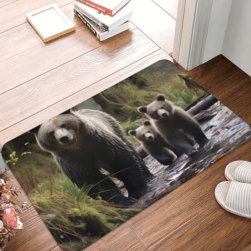 Fußmatte für drinnen und draußen, rutschfest, saugfähig, waschbar, Flanell-Badematte, rutschfeste Bodenmatten für Küche, Schlafzimmer, Badezimmer, Veranda, Büro, 40,6 x 61 cm Fußmatte für drinnen und draußen, rutschfest, saugfähig, waschbar, Flanell-Badematte, rutschfeste Bodenmatten für Küche, Schlafzimmer, Badezimmer, Veranda, Büro, 40,6 x 61 cm von BSCKKDMN