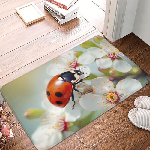 Fußmatte mit Schmetterlings-Marienkäfer-Blume, für drinnen und draußen, rutschfest, saugfähig, waschbar, Flanell-Badematte, rutschfeste Bodenmatten für Küche, Schlafzimmer, Badezimmer, Veranda, Büro von BSCKKDMN