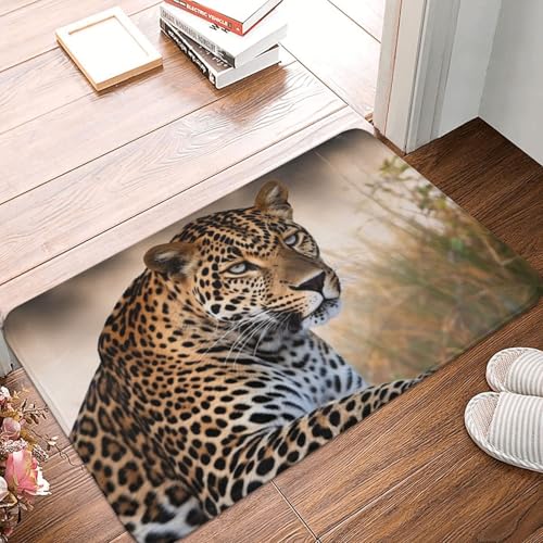 Fußmatte mit afrikanischem Tier-Leopardenmuster, für drinnen und draußen, rutschfest, saugfähig, waschbar, Flanell-Badematte, rutschfeste Fußmatten für Küche, Schlafzimmer, Badezimmer, Veranda, Büro Fußmatte mit afrikanischem Tier-Leopardenmuster, für drinnen und draußen, rutschfest, saugfähig, waschbar, Flanell-Badematte, rutschfeste Fußmatten für Küche, Schlafzimmer, Badezimmer, Veranda, Büro von BSCKKDMN