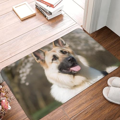 Fußmatte mit deutschem Schäferhund, für drinnen und draußen, rutschfest, saugfähig, waschbar, Flanell-Badematte, rutschfeste Bodenmatten für Küche, Schlafzimmer, Badezimmer, Veranda, Büro, 40,6 x 61 Fußmatte mit deutschem Schäferhund, für drinnen und draußen, rutschfest, saugfähig, waschbar, Flanell-Badematte, rutschfeste Bodenmatten für Küche, Schlafzimmer, Badezimmer, Veranda, Büro, 40,6 x 61 von BSCKKDMN
