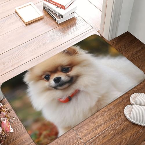 Kurzhaarige Fußmatte mit Zwergspitz, für drinnen und draußen, rutschfest, saugfähig, waschbar, Flanell-Badematte, rutschfeste Bodenmatten für Küche, Schlafzimmer, Badezimmer, Veranda, Büro, 40,6 x 61 Kurzhaarige Fußmatte mit Zwergspitz, für drinnen und draußen, rutschfest, saugfähig, waschbar, Flanell-Badematte, rutschfeste Bodenmatten für Küche, Schlafzimmer, Badezimmer, Veranda, Büro, 40,6 x 61 von BSCKKDMN