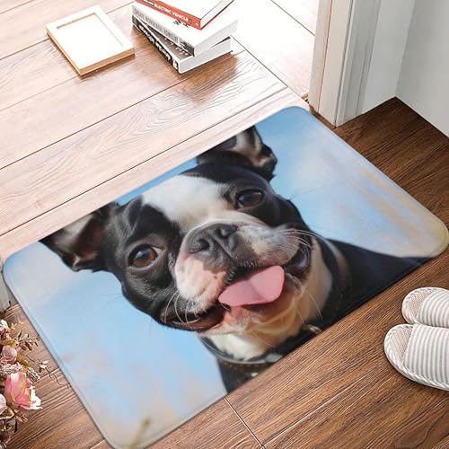 Lovely Boston Terrier Fußmatte für drinnen und draußen, rutschfest, saugfähig, waschbar, Flanell-Badematte, rutschfeste Fußmatten für Küche, Schlafzimmer, Badezimmer, Veranda, Büro, 40,6 x 61 cm Lovely Boston Terrier Fußmatte für drinnen und draußen, rutschfest, saugfähig, waschbar, Flanell-Badematte, rutschfeste Fußmatten für Küche, Schlafzimmer, Badezimmer, Veranda, Büro, 40,6 x 61 cm von BSCKKDMN