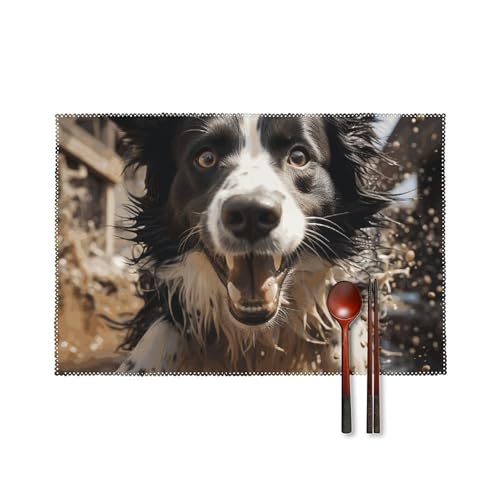 Platzdeckchen-Set, hitzebeständig, rutschfest, abwischbar, waschbar, Pastor-Bordüre, Collie, Tischmatten für Esszimmer, Küche, Innen- und Außenbereich, Party, Urlaub, Dekoration, 6 Stück von BSCKKDMN