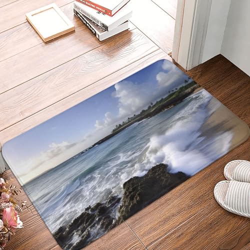 Puerto Rico – Strand-Haustürmatte, für drinnen und draußen, rutschfest, saugfähig, waschbar, Flanell-Badematte, rutschfeste Fußmatten für Küche, Schlafzimmer, Badezimmer, Veranda, Büro, 40,6 x 61 cm Puerto Rico – Strand-Haustürmatte, für drinnen und draußen, rutschfest, saugfähig, waschbar, Flanell-Badematte, rutschfeste Fußmatten für Küche, Schlafzimmer, Badezimmer, Veranda, Büro, 40,6 x 61 cm von BSCKKDMN