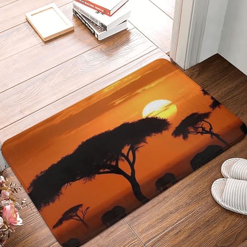 Sunset African Savanna Haustürmatte für drinnen und draußen, rutschfest, saugfähig, waschbar, Flanell-Badematte, rutschfeste Bodenmatten für Küche, Schlafzimmer, Badezimmer, Veranda, Büro, 40,6 x 61 Sunset African Savanna Haustürmatte für drinnen und draußen, rutschfest, saugfähig, waschbar, Flanell-Badematte, rutschfeste Bodenmatten für Küche, Schlafzimmer, Badezimmer, Veranda, Büro, 40,6 x 61 von BSCKKDMN