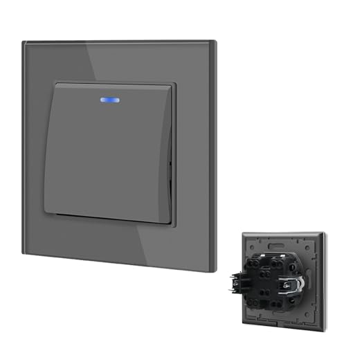 BSEED Lichtschalter Glas unterputz mit Steckklemme 1 Fach 1 Weg, Wipptaster mit LED Kontrollleuchte, Taster Schalter, Wandschalter Grau (Nach Drücken in ursprüngliche Position zurückspringen) von BSEED