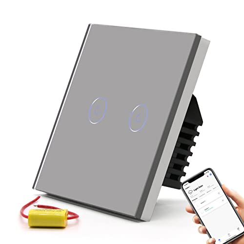 BSEED Smart Lichtschalter,2 Fach Smart Lichtschalter arbeitet mit Alexa und Google Home,Glas Touchscreen Schalter mit Smart Life APP Steuerung und Timing-Funktion Grau(NO neutraler Draht) von BSEED