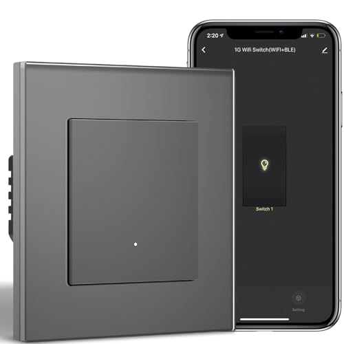 BSEED Smart Lichtschalter Unterputz mit Glasfläche 1 Fach 1 Weg, WiFi Taste Schalter kompatibel mit Alexa/Google Home, Intelligente Wandschalter arbeitet mit Smart Life/Tuya App, Grau von BSEED