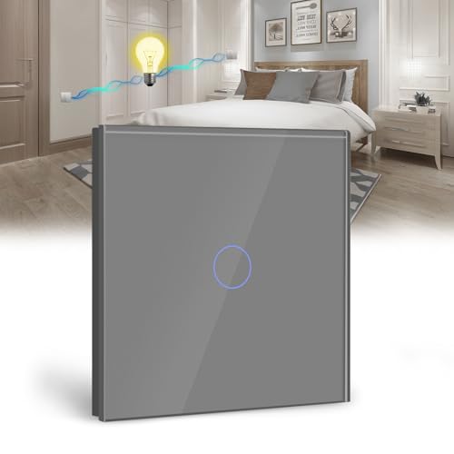 BSEED Touch Lichtschalter 1 Fach 2 Wege Glas Lichtschalter Grau Led Touch Schalter Touchscreen Funktioniert mit LED Lampe EU Standard(Nicht Smart Schalter) von BSEED