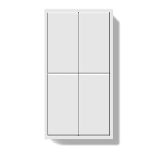 BSEEDLIFE Lichtschalter Unterputz 2 Fach 2 Weg+2 Fach 2 Weg，Doppelt 80 * 150mm Modern Wandschalter mit PC Rahmen, Taste Schalter mit Kabelklemmen & Krallen, Einfache Montage，Lichtschalter Weiß von BSEEDLIFE