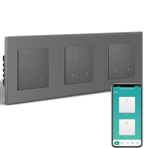 BSEEDLIFE Smart Lichtschalter Unterputz, 228*86mm 2-Fach*3 Zigbee Schalter mit Glasrahmen, Intelligente Wandschalter für Smart Home, Kompatibel mit Alexa, Google Home(über Tuya/Smart Life App), Grau von BSEEDLIFE