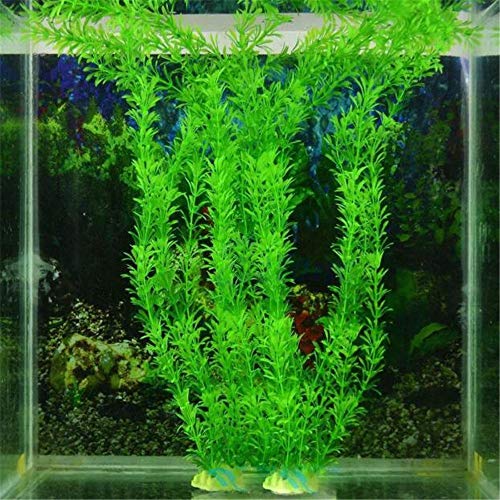 BSGP 1 x künstliche Kunststoffpflanze für Aquarien, 32 cm BSGP 1 x künstliche Kunststoffpflanze für Aquarien, 32 cm von BSGP