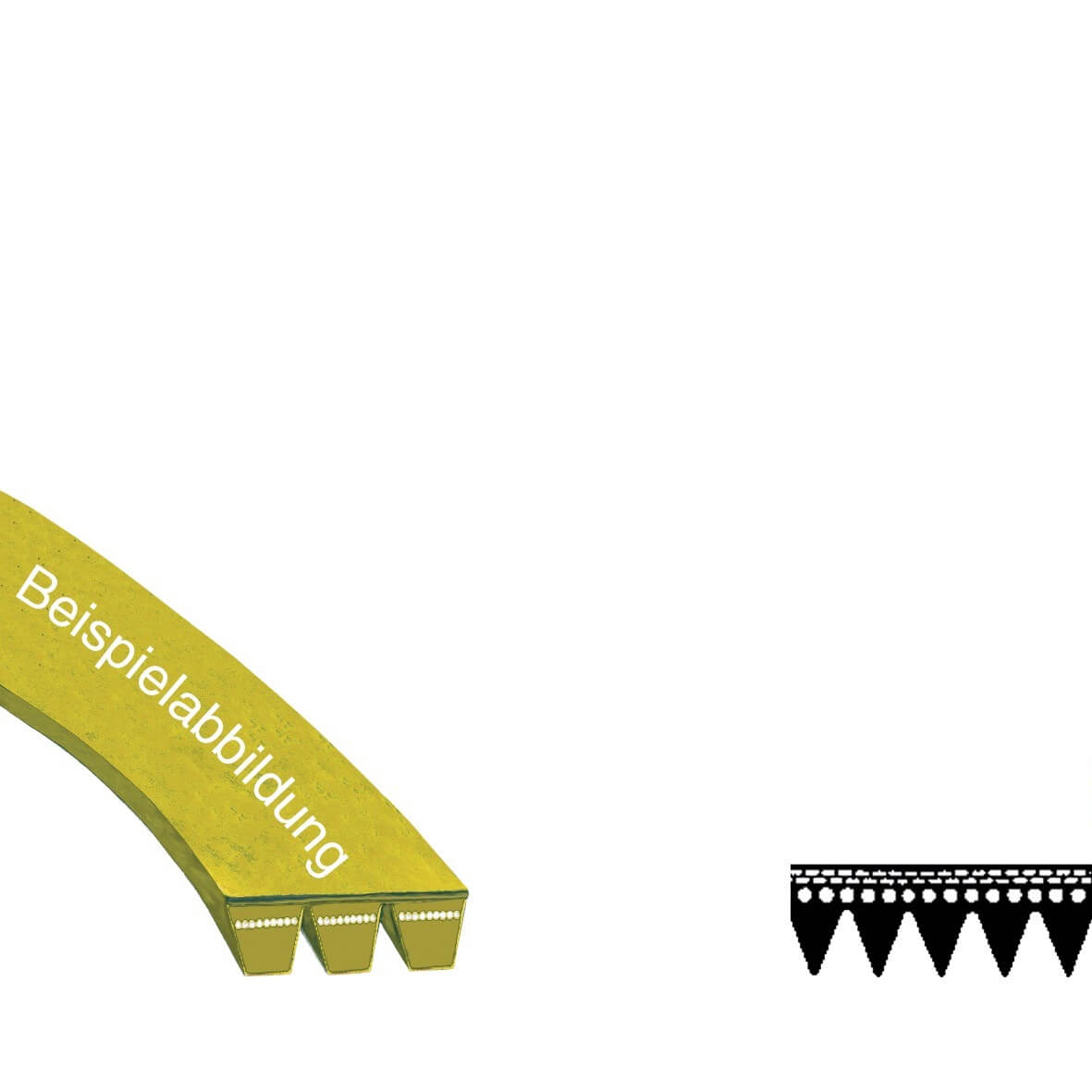 Keilrippenriemen 1252PJ5E BSH 00439491 für Waschmaschine (KD-00439491) von BSH (Bosch-Siemens-Hausgeräte)