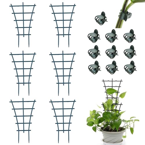BSITSSS 6 Stück Rankhilfe Garten + 10 Stück Pflanzen Clips, Wiederverwendbare Rankhilfe Zimmerpflanzen, Stabil Pflanzen Rankhilfen, Pflanzenhalter, Rankhilfen für Kletterpflanzen (Grün) von BSITSSS