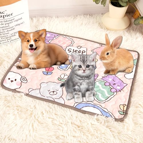 BSITSSS Wiederverwendbare Hundematte 40x50cm rutschfest Hundedecke Waschbar Welpenunterlage Schnell Absorbierend Haustiermatte Für Hunde Katzen Kaninchen Hamster Cartoon Design, Rosa BSITSSS Wiederverwendbare Hundematte 40x50cm rutschfest Hundedecke Waschbar Welpenunterlage Schnell Absorbierend Haustiermatte Für Hunde Katzen Kaninchen Hamster Cartoon Design, Rosa von BSITSSS