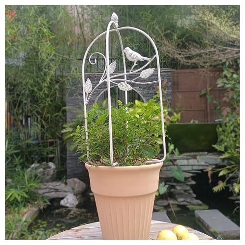 Garten Klettern Rankgitter Schwarz Eisen Pflanzenstecker Rostbeständig Metall mit Vogel Dekoration Vintage Outdoor Unterstützung für Blumentopf Balkon Terrasse (Weiß) von BSKJMMP