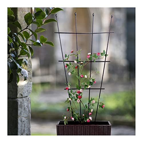 Garten Obelisk Rankgitter Metall Pflanze Rankgitter für Kletterpflanzen Outdoor für Reben Rosen Hochzeit Torbogen von BSKJMMP