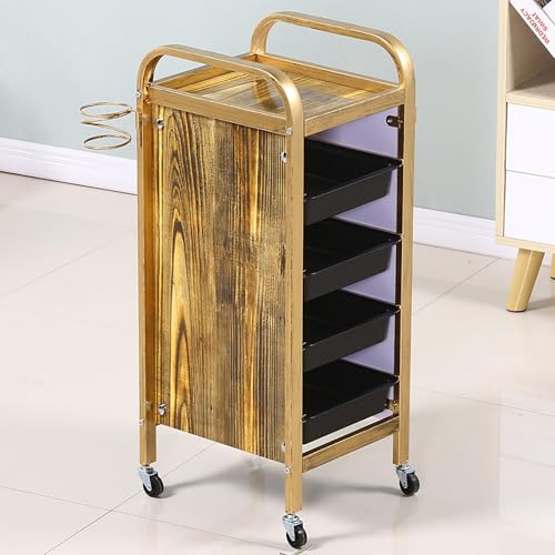Haarablage für Friseure, Salon, Tischwagen mit Rollen, Haar-Styling-Station, mobile Schönheitsaufbewahrung für Friseursalon, Spa, Tattoos, 35 x 32 x 85 cm (5 Ebenen) von BSKJMMP